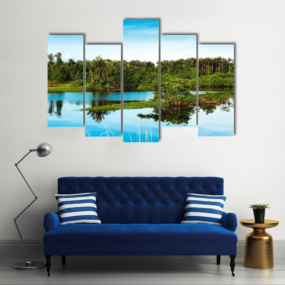 Wetland In Amazon Canvas Wall Art-5 Pop-Gallery Wrap-47" x 32"-Tiaracle