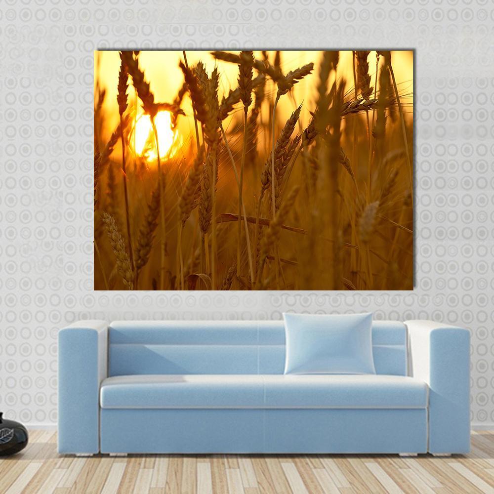 Wheat Crops In Sunset Closeup Canvas Wall Art-1 Piece-Gallery Wrap-48" x 32"-Tiaracle