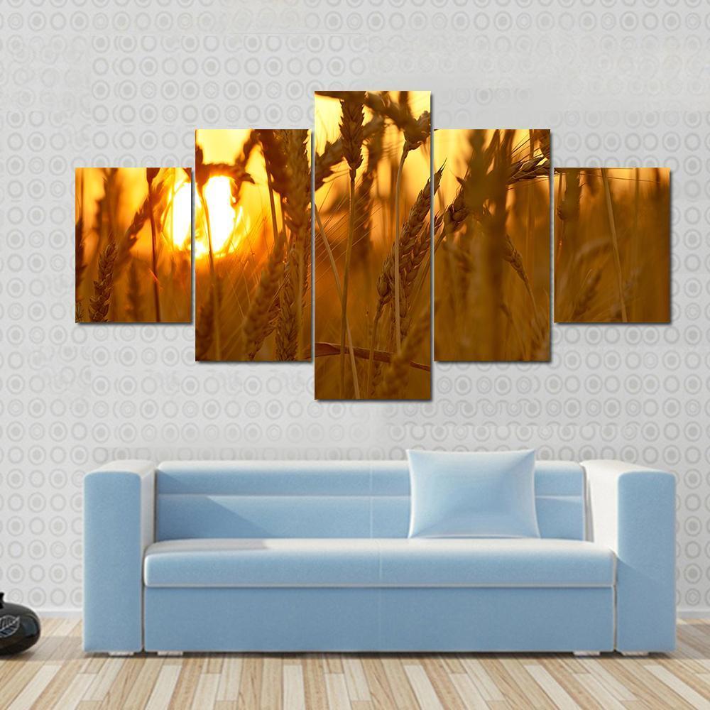 Wheat Crops In Sunset Closeup Canvas Wall Art-1 Piece-Gallery Wrap-48" x 32"-Tiaracle