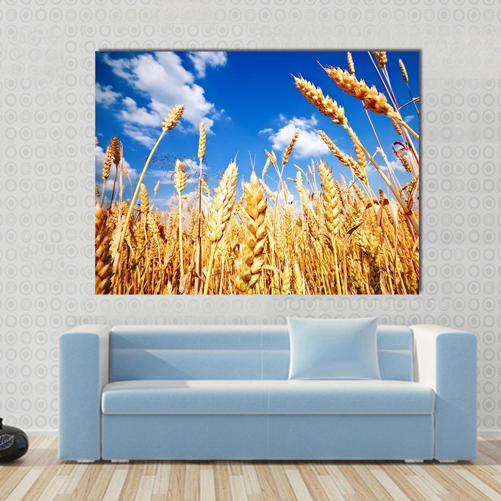 Wheat Field and Blue Sky with Clouds Canvas Wall Art in gold, yellow and blue, single panel hung on a wall
