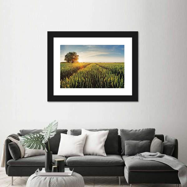 Wheat Field At Sunset Canvas Wall Art-3 Horizontal-Gallery Wrap-25" x 16"-Tiaracle