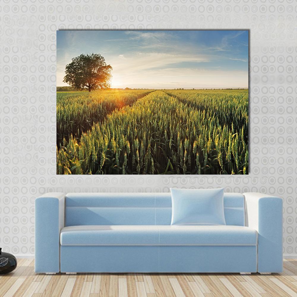 Wheat Field At Sunset Canvas Wall Art-1 Piece-Gallery Wrap-48" x 32"-Tiaracle