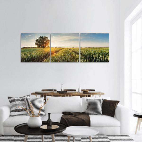 Wheat Field at Sunrise Panoramic Canvas Wall Art in yellow, green and blue, hung on a wall