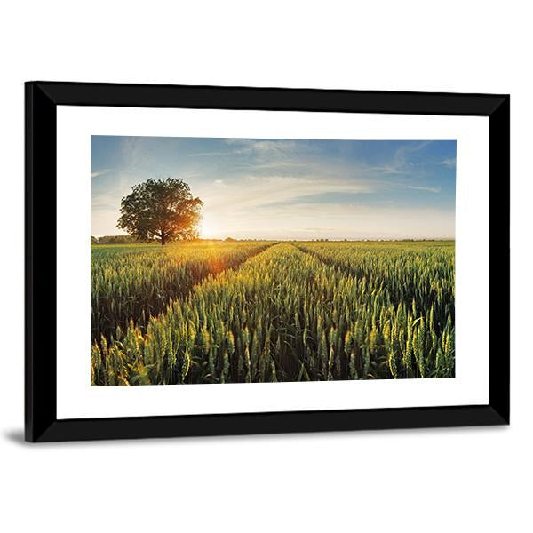 Wheat Field At Sunset Panoramic Canvas Wall Art-1 Piece-36" x 12"-Tiaracle