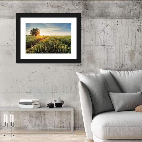 Wheat Field At Sunset Panoramic Canvas Wall Art-1 Piece-36" x 12"-Tiaracle