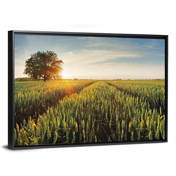 Wheat Field At Sunset Panoramic Canvas Wall Art-1 Piece-36" x 12"-Tiaracle