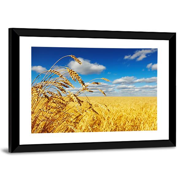 Wheat Field Panoramic Canvas Wall Art-1 Piece-36" x 12"-Tiaracle