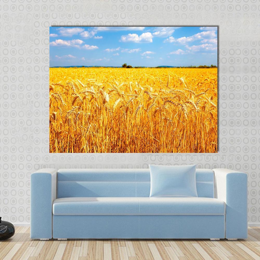 Wheat Ready for Harvest Canvas Wall Art in gold, yellow and blue, single panel hung on a wall