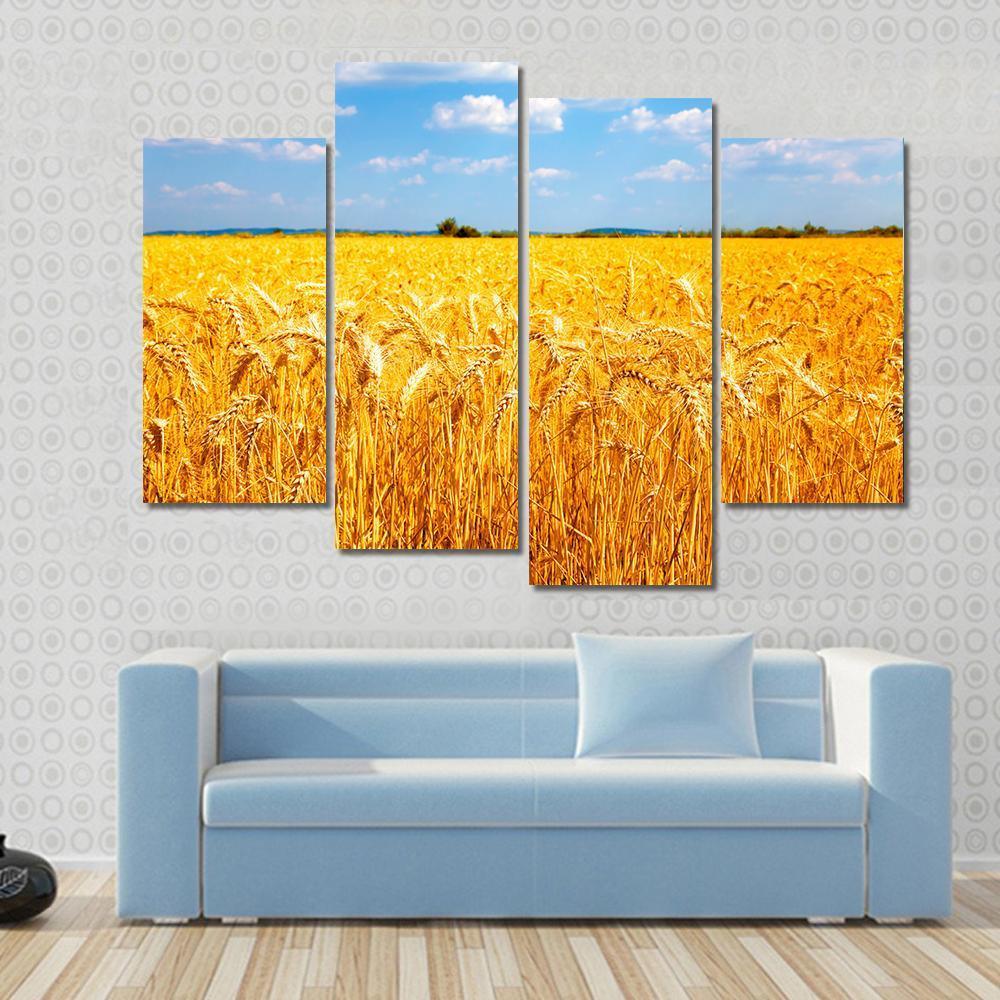 Wheat Ready For Harvest Canvas Wall Art-4 Pop-Gallery Wrap-50" x 32"-Tiaracle