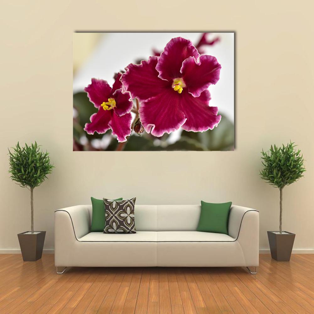 White And Red Fresh Flowers Canvas Wall Art-5 Horizontal-Gallery Wrap-22" x 12"-Tiaracle