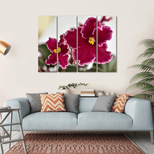 White And Red Fresh Flowers Canvas Wall Art-4 Horizontal-Gallery Wrap-34" x 24"-Tiaracle