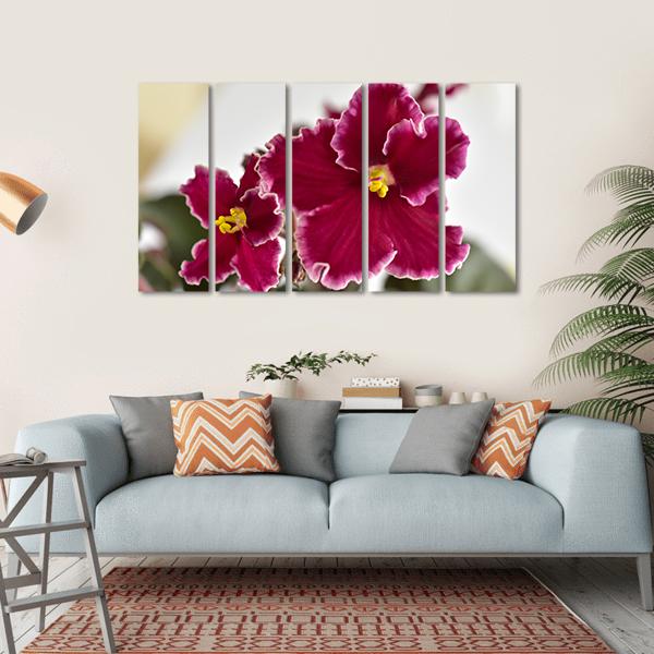 White And Red Fresh Flowers Canvas Wall Art-5 Horizontal-Gallery Wrap-22" x 12"-Tiaracle