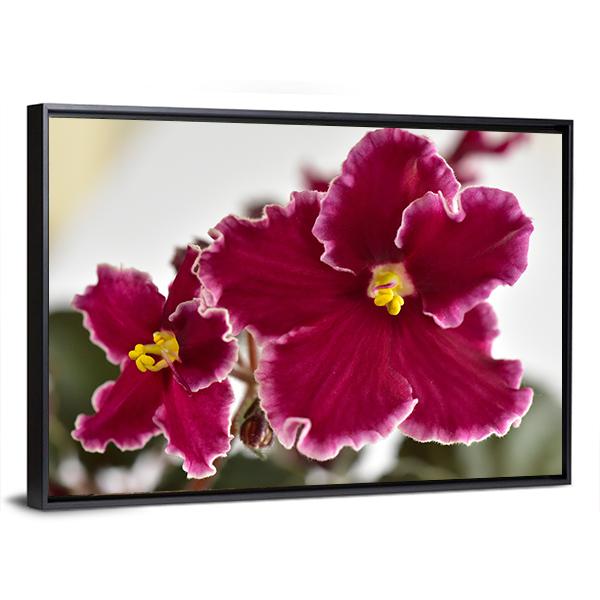 White And Red Fresh Flowers Canvas Wall Art-3 Horizontal-Gallery Wrap-25" x 16"-Tiaracle
