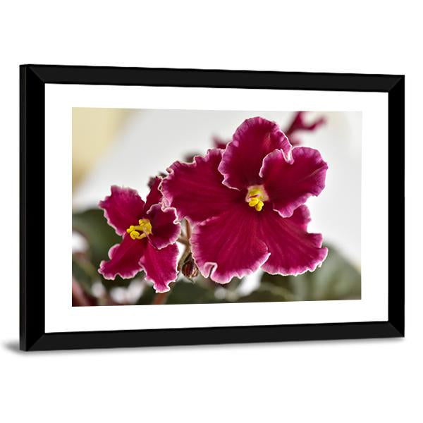 White And Red Fresh Flowers Canvas Wall Art-5 Horizontal-Gallery Wrap-22" x 12"-Tiaracle