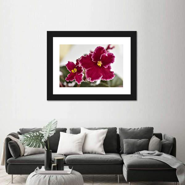 White And Red Fresh Flowers Canvas Wall Art-3 Horizontal-Gallery Wrap-25" x 16"-Tiaracle