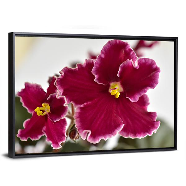 White And Red Fresh Flowers Canvas Wall Art-5 Horizontal-Gallery Wrap-22" x 12"-Tiaracle