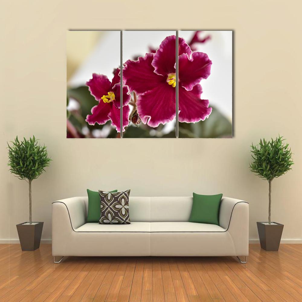 White And Red Fresh Flowers Canvas Wall Art-3 Horizontal-Gallery Wrap-37" x 24"-Tiaracle