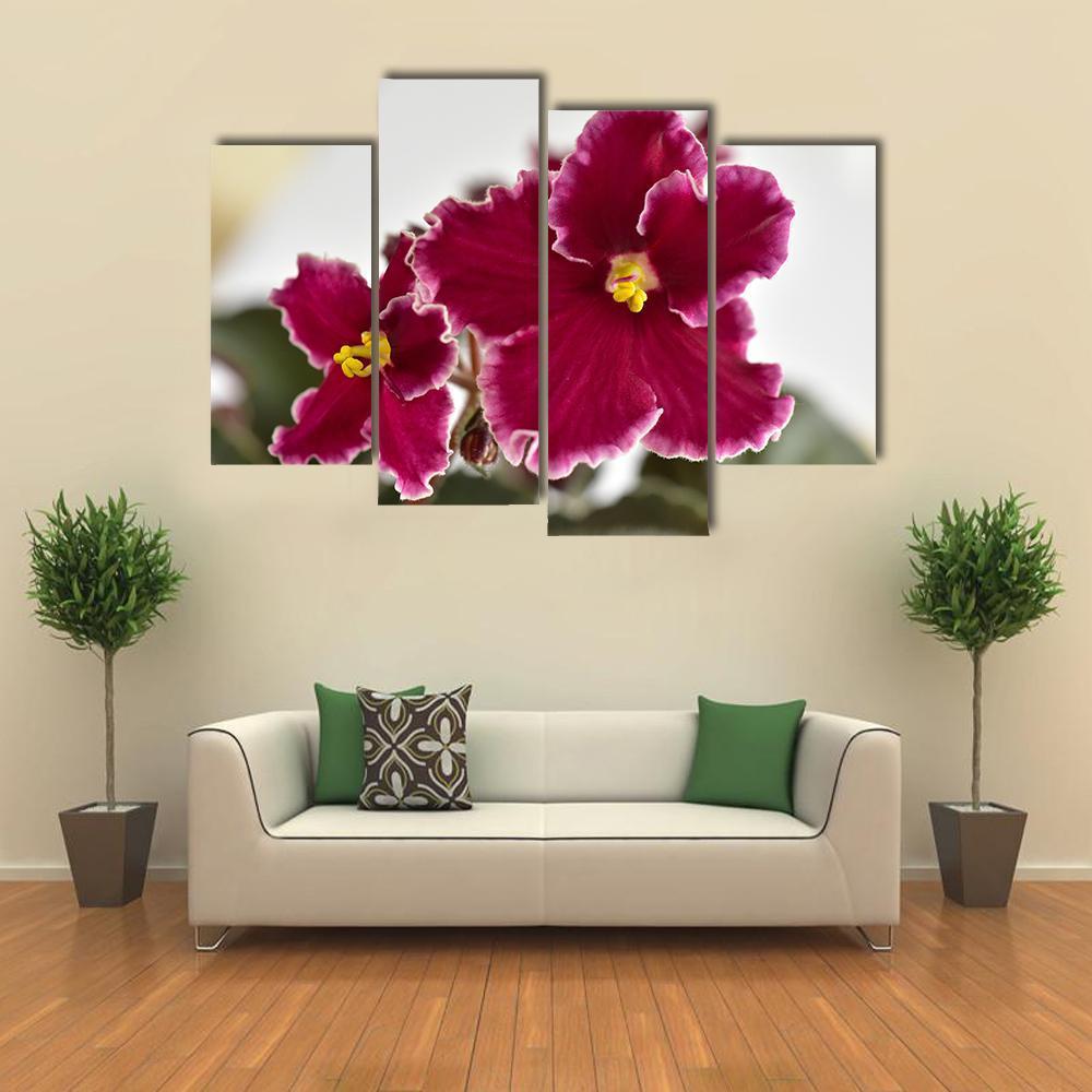 White And Red Fresh Flowers Canvas Wall Art-4 Pop-Gallery Wrap-50" x 32"-Tiaracle