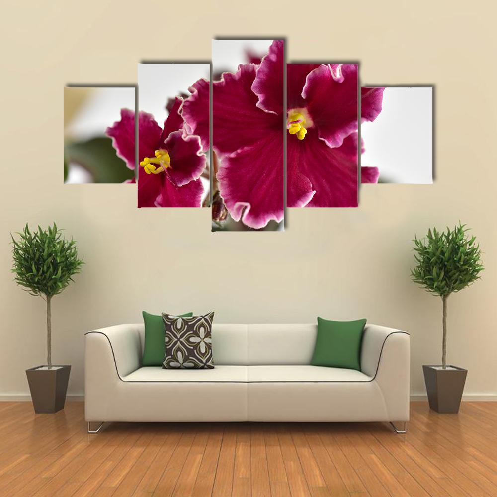 White And Red Fresh Flowers Canvas Wall Art-5 Star-Gallery Wrap-62" x 32"-Tiaracle