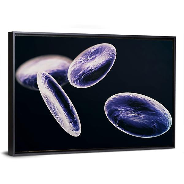 White Blood Cells Canvas Wall Art-3 Horizontal-Gallery Wrap-25" x 16"-Tiaracle