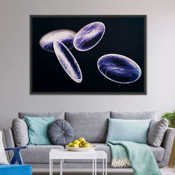 White Blood Cells Canvas Wall Art-3 Horizontal-Gallery Wrap-25" x 16"-Tiaracle