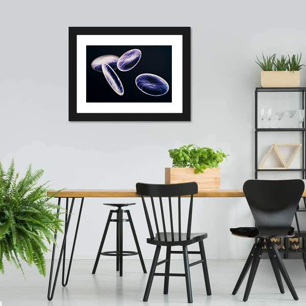 White Blood Cells Canvas Wall Art-3 Horizontal-Gallery Wrap-25" x 16"-Tiaracle