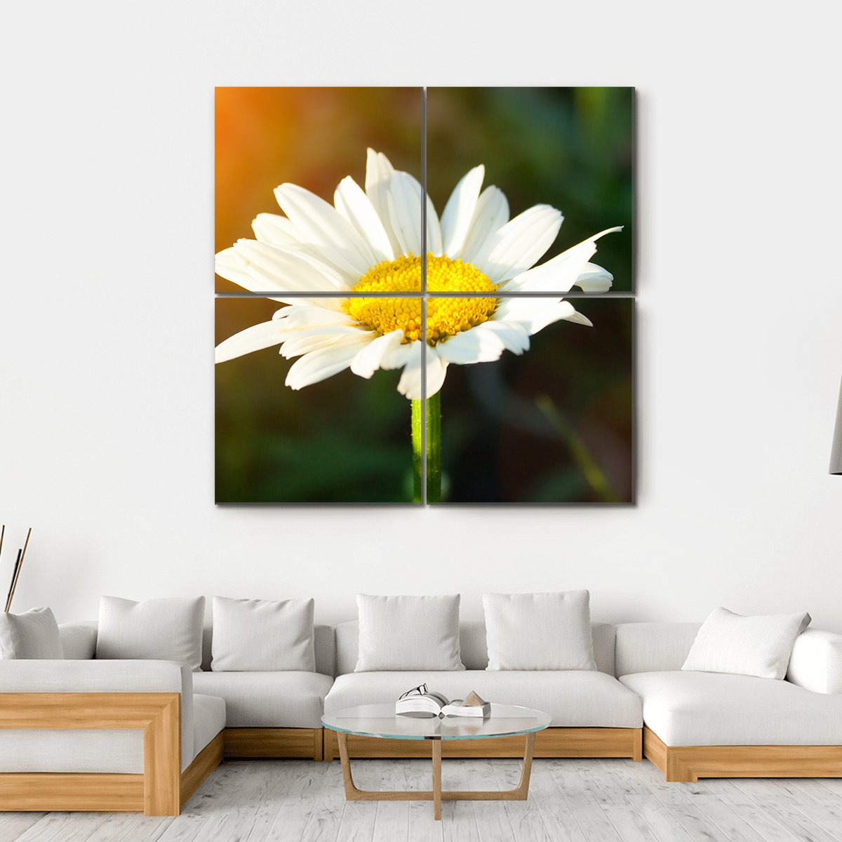 White Daisy Canvas Wall Art-4 Square-Gallery Wrap-17" x 17"-Tiaracle