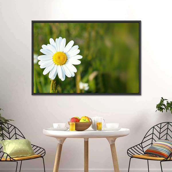 White Marguerite Flower Canvas Wall Art-1 Piece-Floating Frame-24" x 16"-Tiaracle
