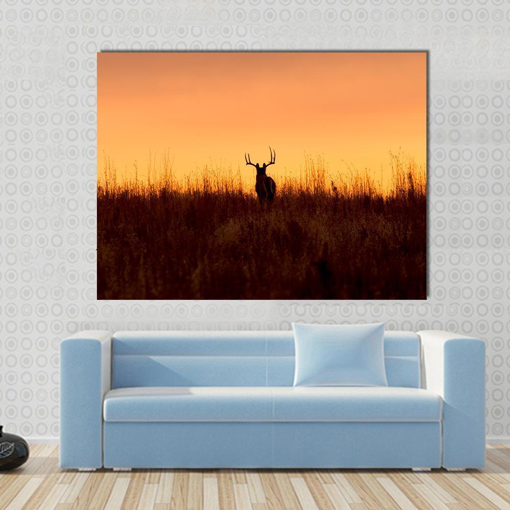 Whitetail Buck in the Sunrise Canvas Wall Art in brown, orange and yellow, single panel hung on a wall