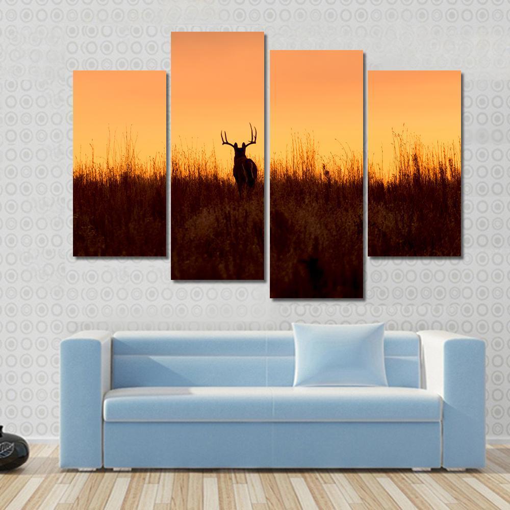 Whitetail Buck In The Sunrise Canvas Wall Art-4 Pop-Gallery Wrap-50" x 32"-Tiaracle