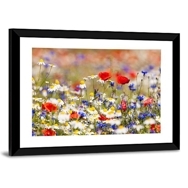 Wild Flowers On The Meadow At Spring Time Canvas Wall Art-3 Horizontal-Gallery Wrap-25" x 16"-Tiaracle