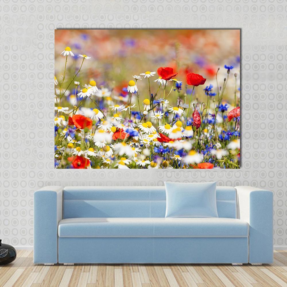 Wild Flowers on the Meadow at Spring Time Canvas Wall Art in white, green and multicolor, single panel hung on a wall