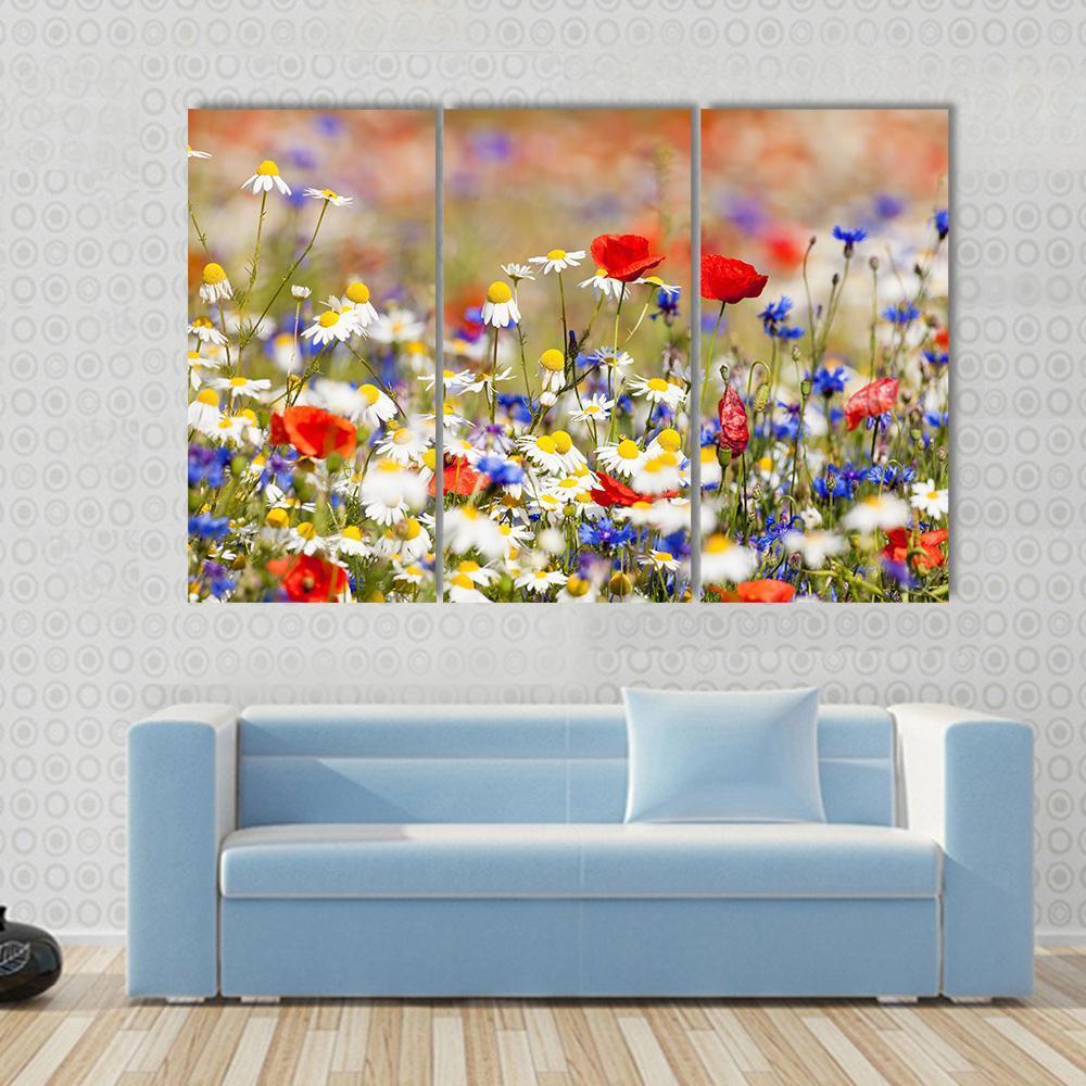 Wild Flowers On The Meadow At Spring Time Canvas Wall Art-3 Horizontal-Gallery Wrap-37" x 24"-Tiaracle