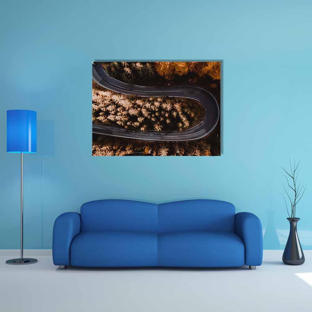 Winding Mountain Forest Road Canvas Wall Art in black, brown and orange, single panel hung on a wall