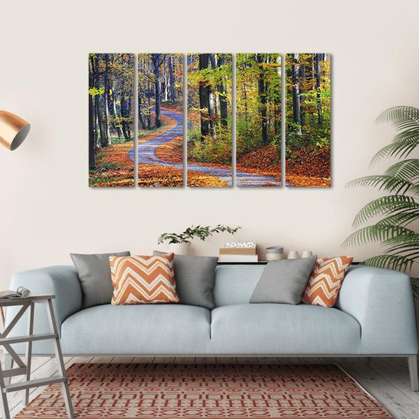Winding Path Through Autumn Forest Canvas Wall Art-5 Horizontal-Gallery Wrap-22" x 12"-Tiaracle