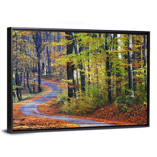 Winding Path Through Autumn Forest Canvas Wall Art-3 Horizontal-Gallery Wrap-25" x 16"-Tiaracle