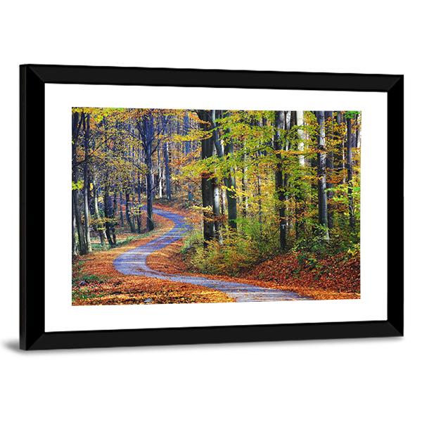 Winding Path Through Autumn Forest Canvas Wall Art-3 Horizontal-Gallery Wrap-25" x 16"-Tiaracle