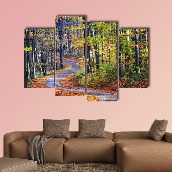 Winding Path Through Autumn Forest Canvas Wall Art-4 Pop-Gallery Wrap-50" x 32"-Tiaracle