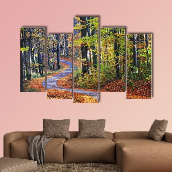 Winding Path Through Autumn Forest Canvas Wall Art-5 Pop-Gallery Wrap-47" x 32"-Tiaracle