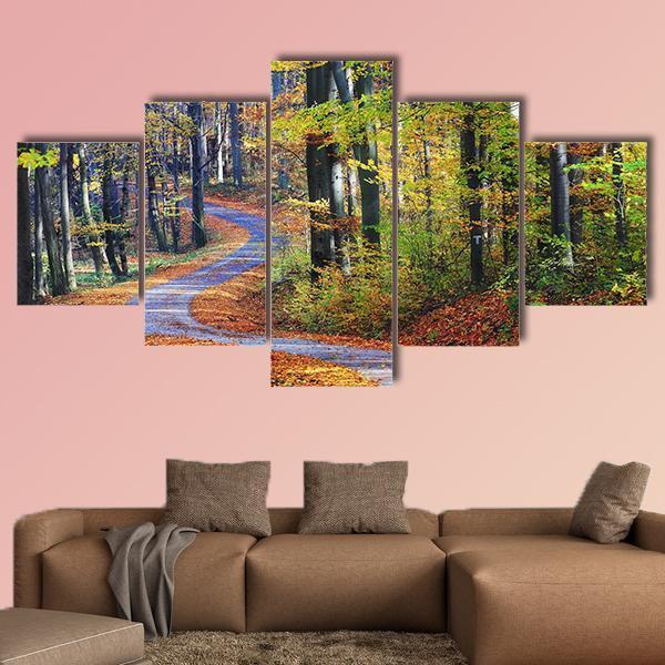 Winding Path Through Autumn Forest Canvas Wall Art-5 Star-Gallery Wrap-62" x 32"-Tiaracle