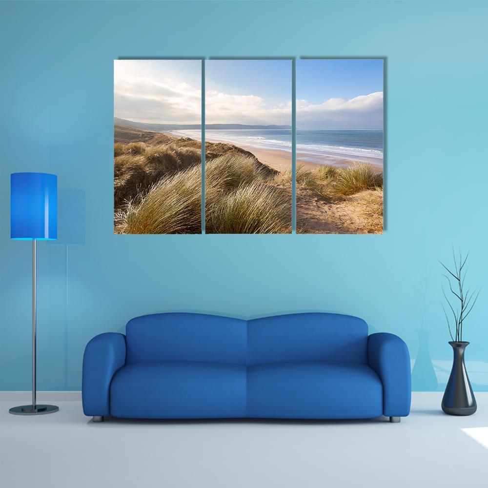 Windswept Grass On Sand Dunes Canvas Wall Art-3 Horizontal-Gallery Wrap-37" x 24"-Tiaracle