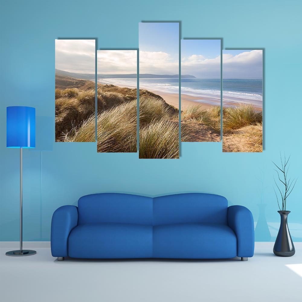 Windswept Grass On Sand Dunes Canvas Wall Art-5 Pop-Gallery Wrap-47" x 32"-Tiaracle