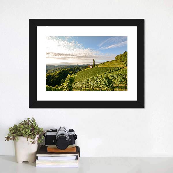 Wine Grapes In Vineyard Canvas Wall Art-1 Piece-Framed Print-20" x 16"-Tiaracle