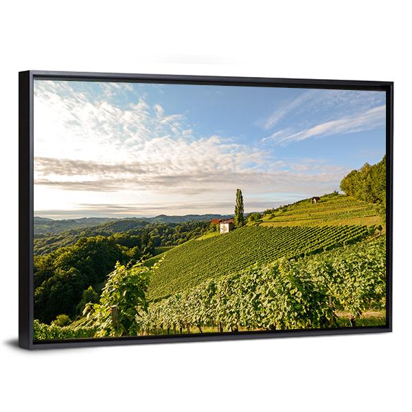 Wine Grapes In Vineyard Canvas Wall Art-3 Horizontal-Gallery Wrap-25" x 16"-Tiaracle