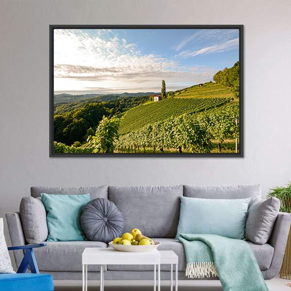 Wine Grapes In Vineyard Canvas Wall Art-3 Horizontal-Gallery Wrap-25" x 16"-Tiaracle