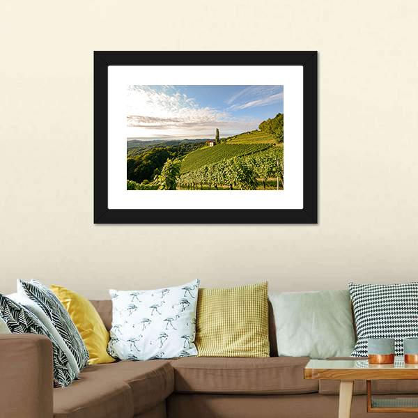 Wine Grapes In Vineyard Canvas Wall Art-3 Horizontal-Gallery Wrap-25" x 16"-Tiaracle