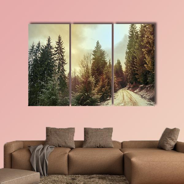 Winter Forest In Carpathians Canvas Wall Art-3 Horizontal-Gallery Wrap-37" x 24"-Tiaracle