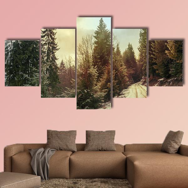 Winter Forest In Carpathians Canvas Wall Art-5 Star-Gallery Wrap-62" x 32"-Tiaracle