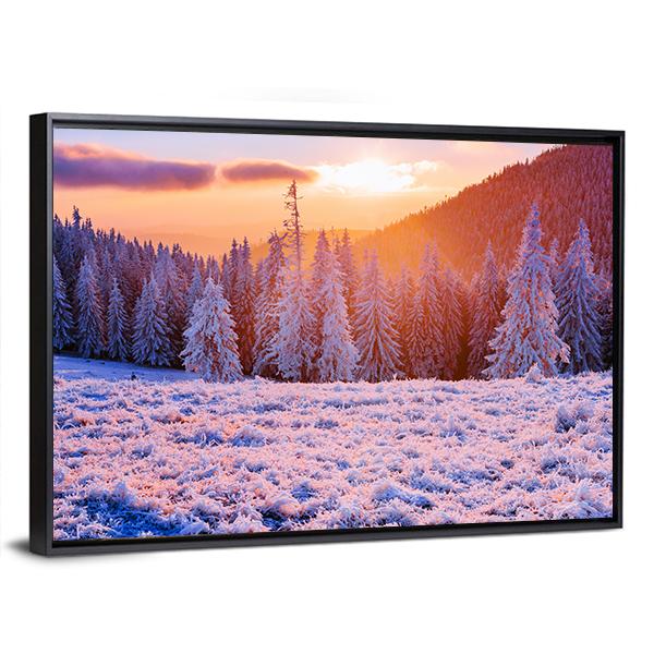 Winter Landscape Trees In Frost Canvas Wall Art-3 Horizontal-Gallery Wrap-25" x 16"-Tiaracle