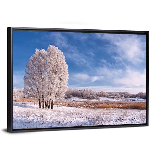 Winter Landscape With Frozen Tree In Field And Blue Sky With Clouds Canvas Wall Art-5 Horizontal-Gallery Wrap-22" x 12"-Tiaracle